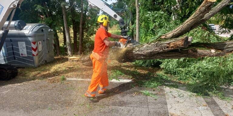 una-delle-fasi-di-intervento-degli-addetti-di-ferrara-tua-nei-giorni-scorsi-1-768×576