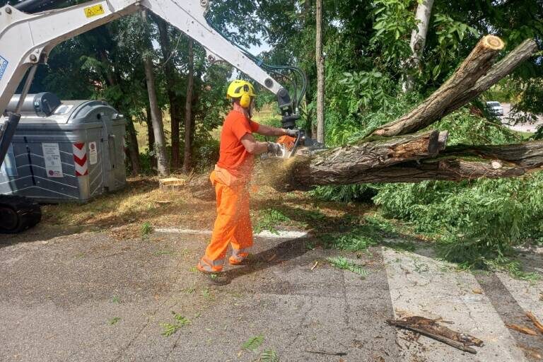 una-delle-fasi-di-intervento-degli-addetti-di-ferrara-tua-nei-giorni-scorsi-1-768×576